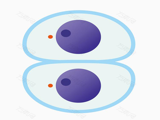 Cutting master online Puzzle game