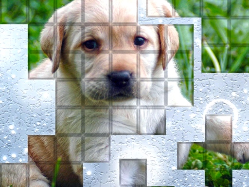 PicPu Dog online Puzzle game