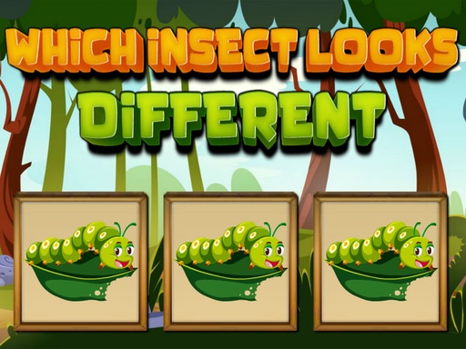 Which Insect Looks Different online game